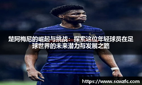 milan米兰官网入口